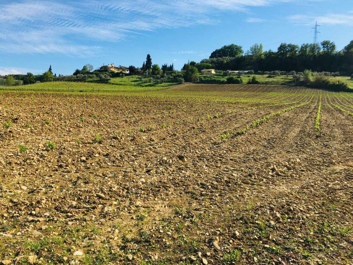 Agriturismo La Valle A Polvereto Tavarnelle Val di Pesa Bagian luar foto