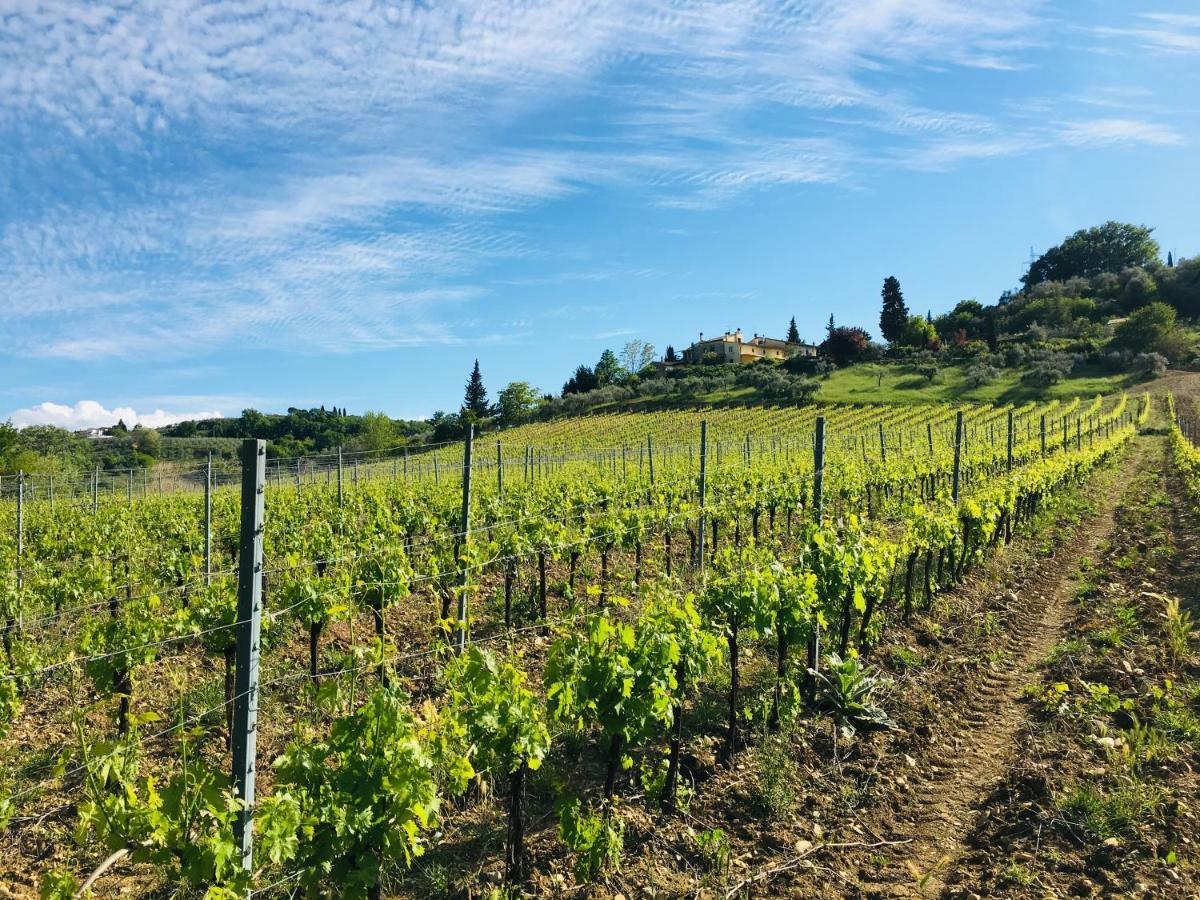 Agriturismo La Valle A Polvereto Tavarnelle Val di Pesa Bagian luar foto