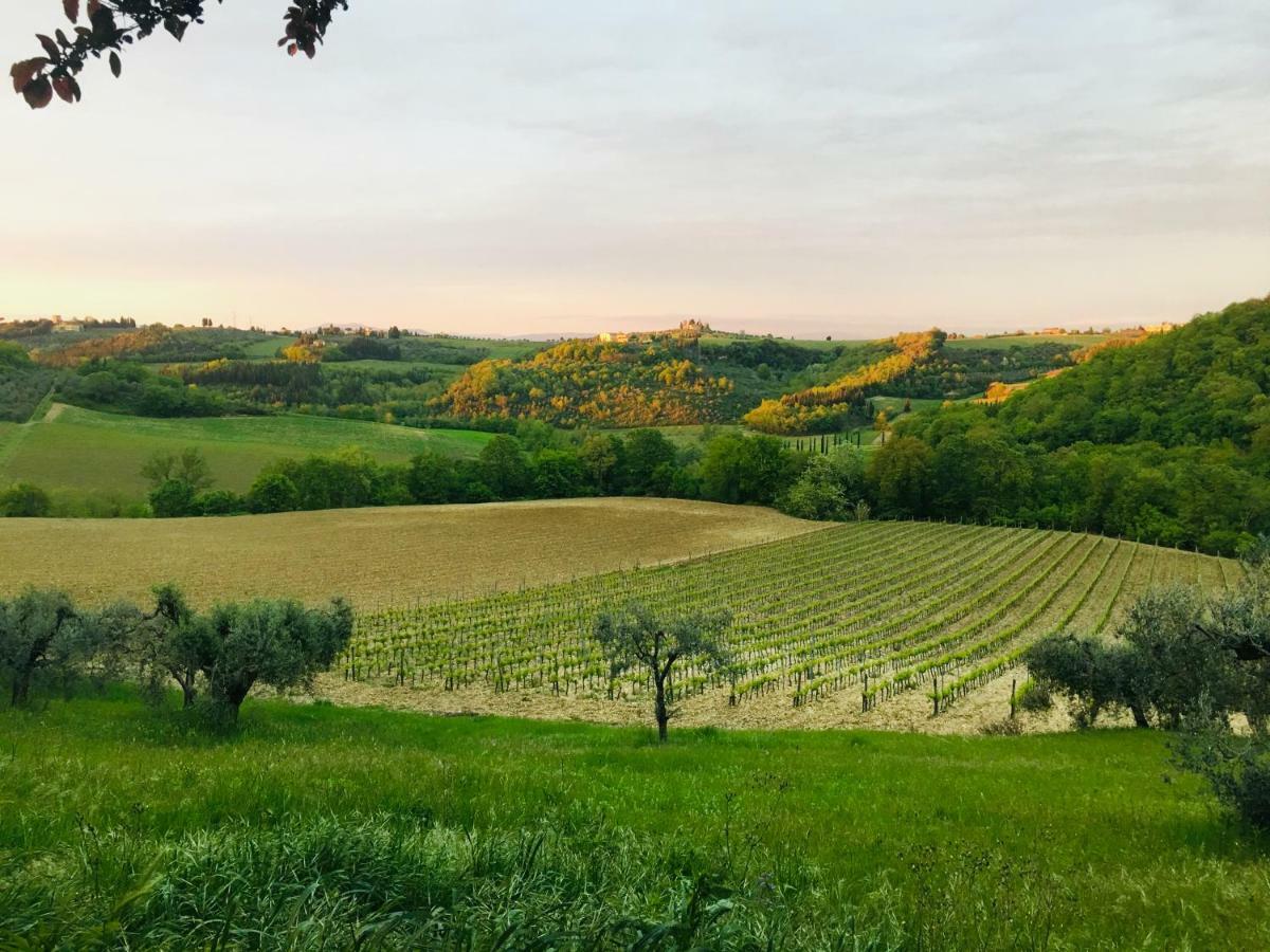 Agriturismo La Valle A Polvereto Tavarnelle Val di Pesa Bagian luar foto